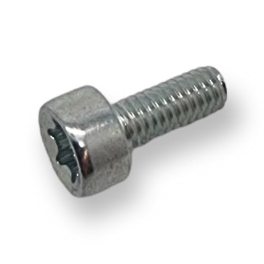 Bolt TORX 4 - Echo V804-000040